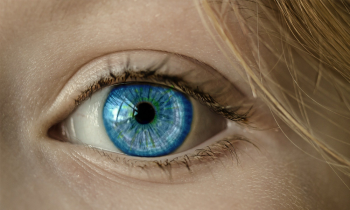 La observacion en la empresa