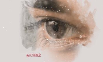 Laobservacionenlaempresa