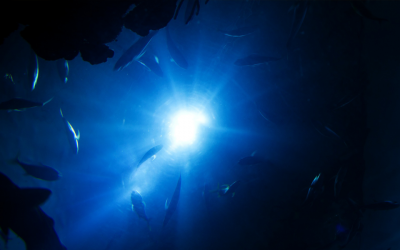 Soy Autónomo y no soy el único