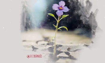 Gestionar la adversidad